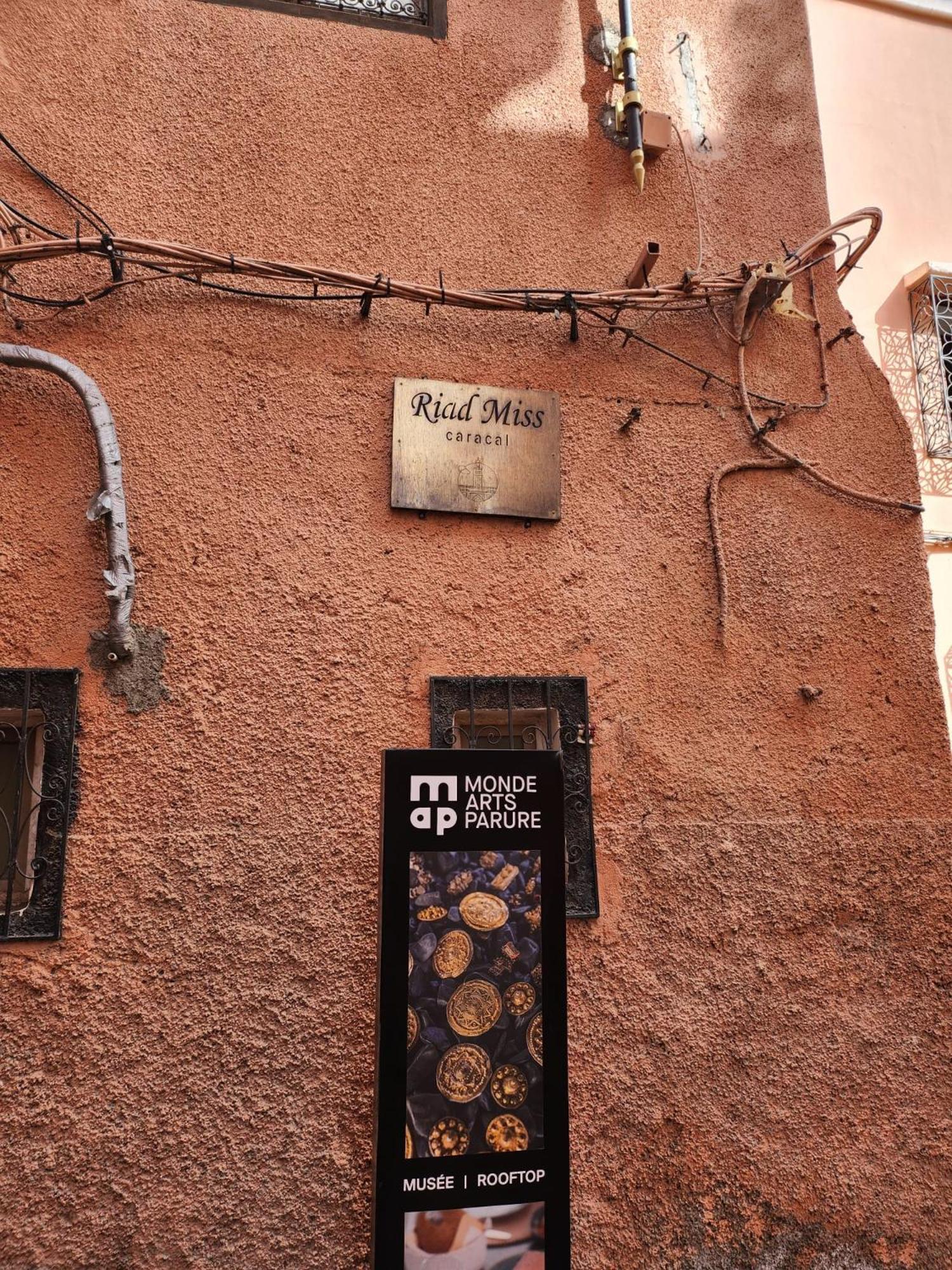 Miss Caracal Riad Marrakesch